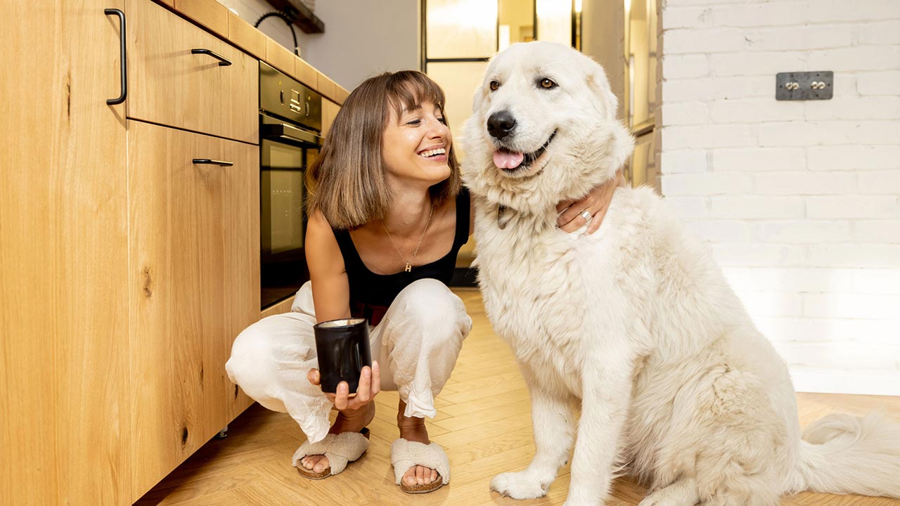 Tipy, jak na základě projevů chování lépe porozumět zvířatům